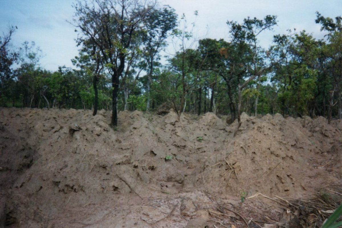 Blog-13.1-Benin-Yams-mounds-near-Bas-Fonds.jpg