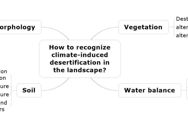 Blog-15.1-MindMap-for-spontaneous-presentation.jpeg